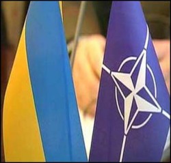 Украина движется в НАТО? Украина движется в НАТО?